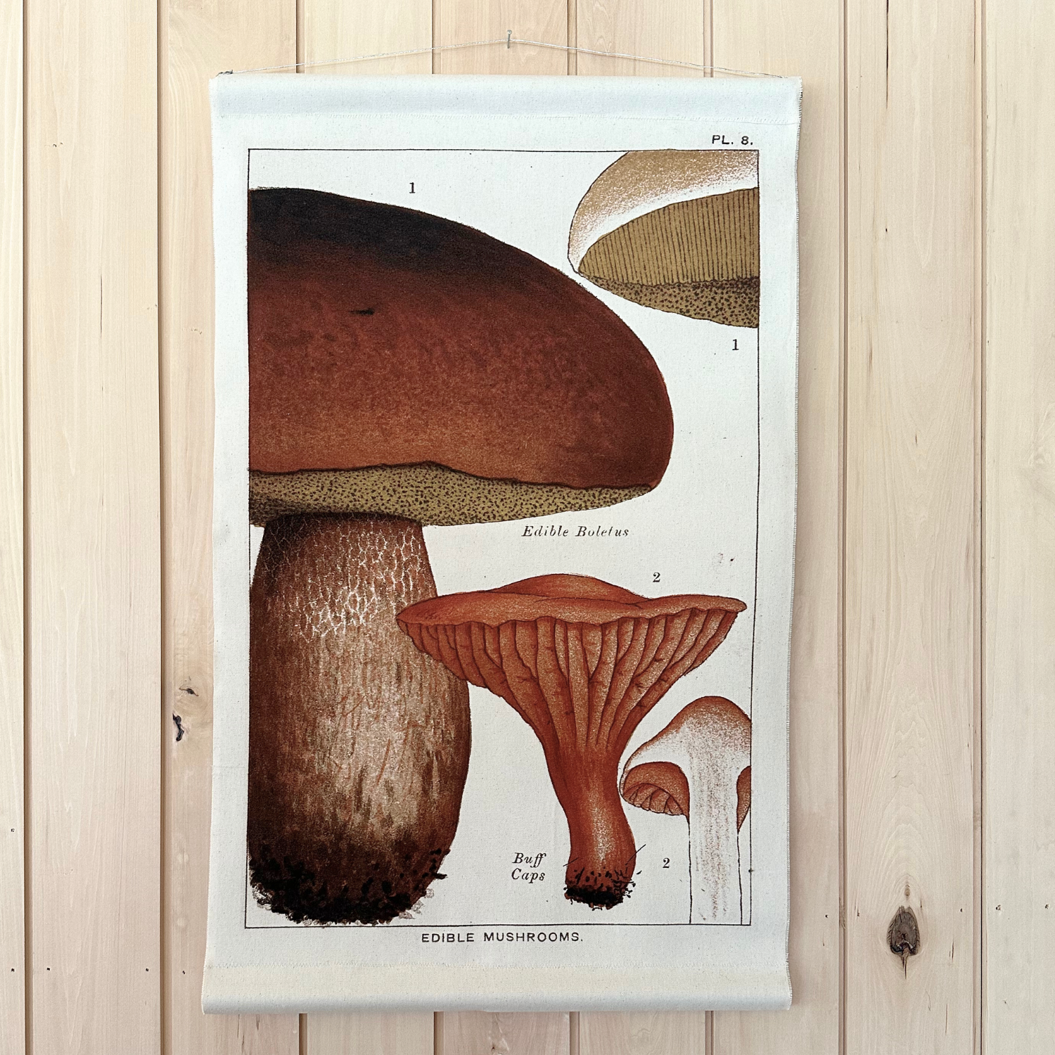 Canvas Wall Hanging - Bolete Mushroom